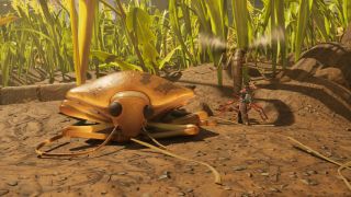 Grounded 2 stinkbug parts gas sacks: A stinkbug sleeping while a player and his ant fights a mosquito in the background.