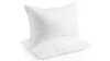 Beckham Hotel Collection gel pillow (2-pack)