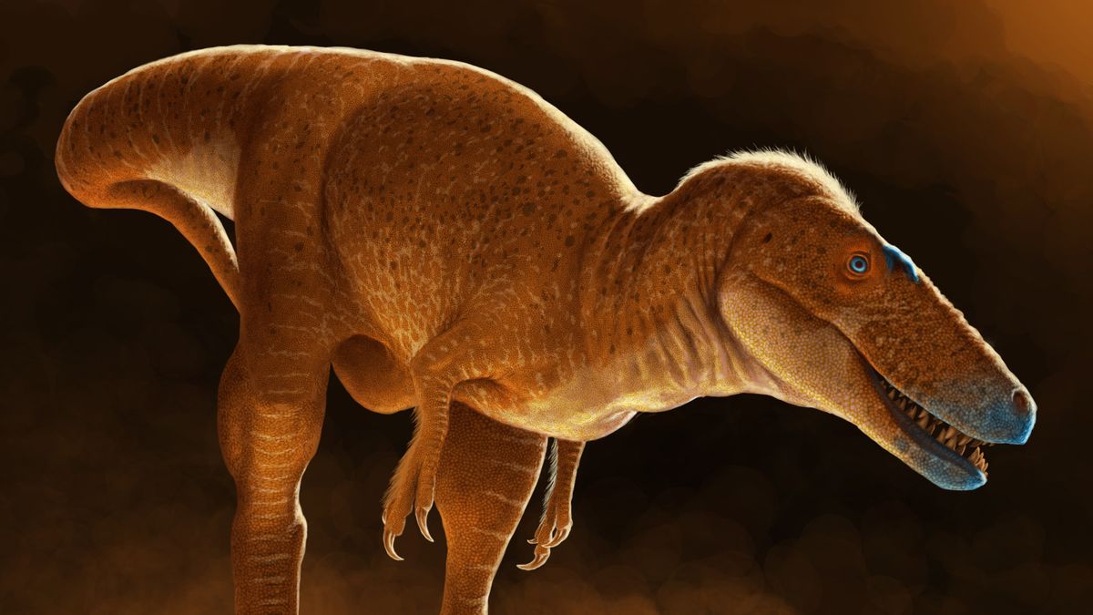 Meet 'Dragon prince' — the newly discovered T. rex relative that roamed Mongolia 86 million years ago