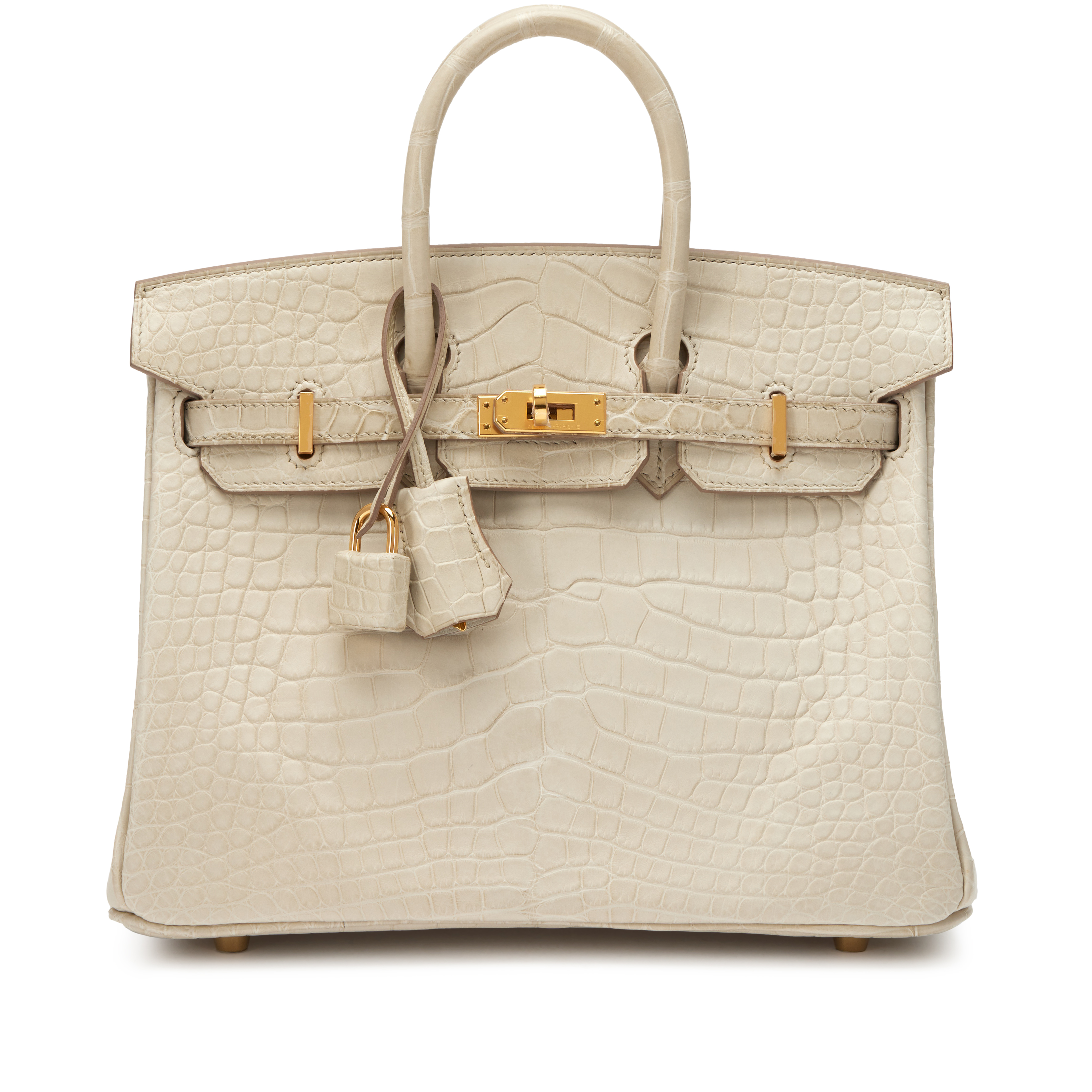 Beton Matte Mississippiensis Alligator Birkin 25 Gold Hardware, 2023