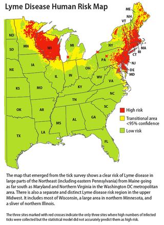 Regions Where Ticks Live, Ticks