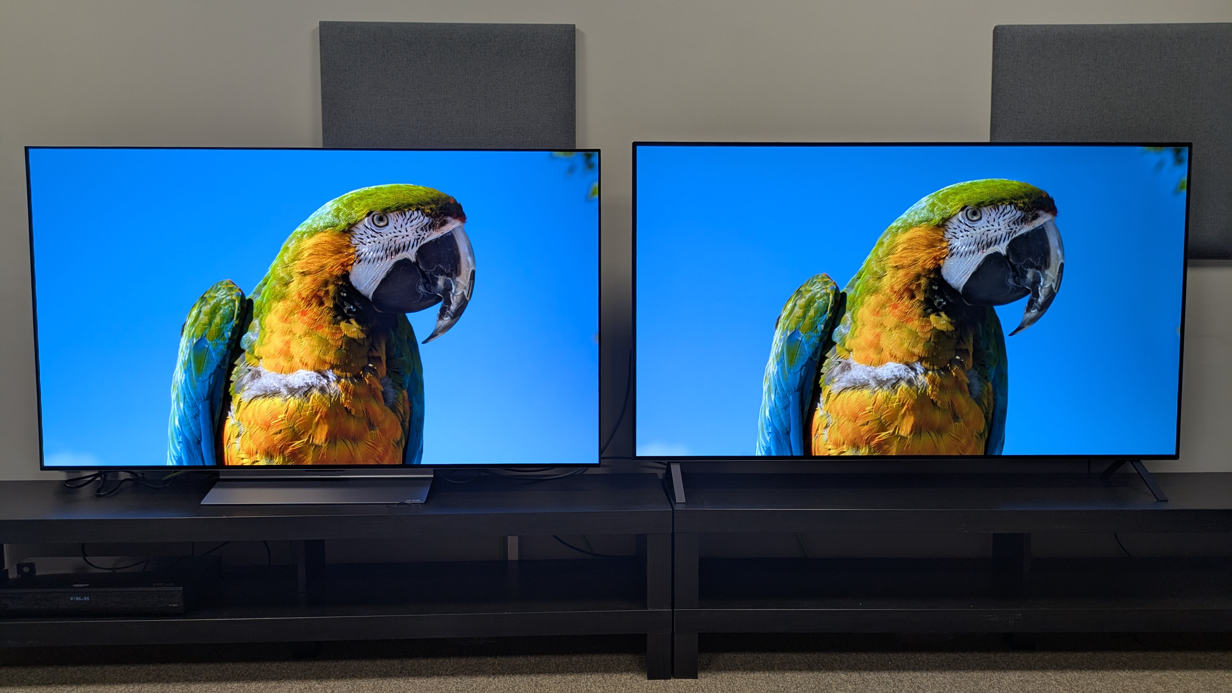 LG C5 (left) and LG B5 (right) showing parrot on screen