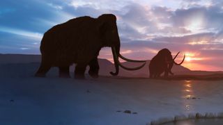 Two woolly mammoths lumber across the icy Arctic tundra.