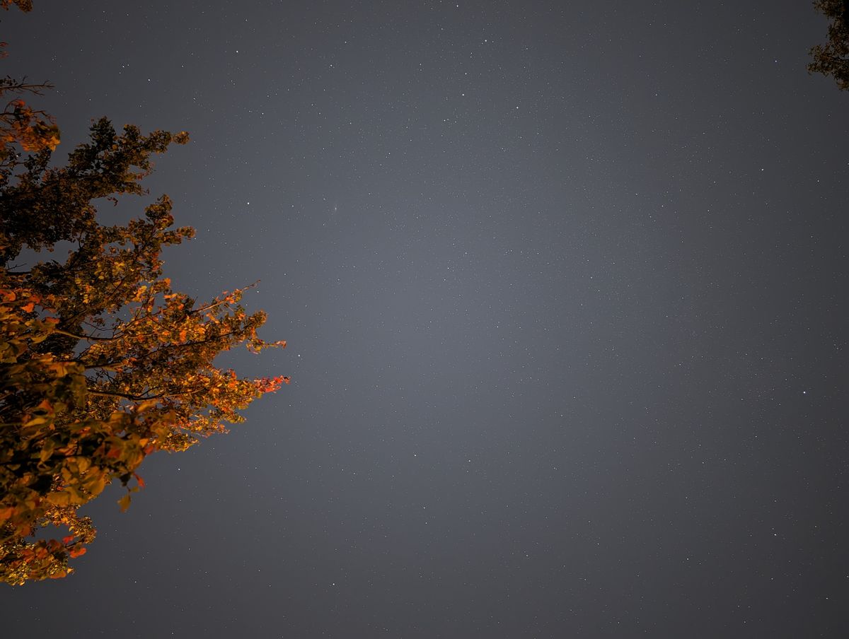 Low light samples from Google Pixel 8 Pro.