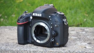 Front of a Nikon D610, sitting on a garden wall