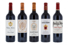 Médoc grand cru classé 2017