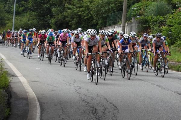 The bunch prepares to take a rolling, narrow descent