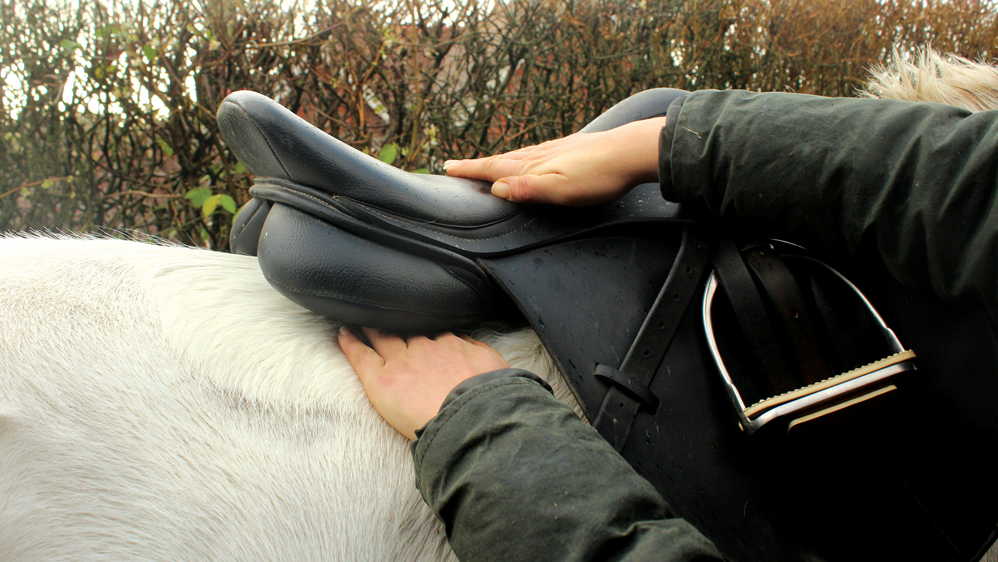 Close up of someone running hand between horse&amp;rsquo;s back and saddle to check saddle fit