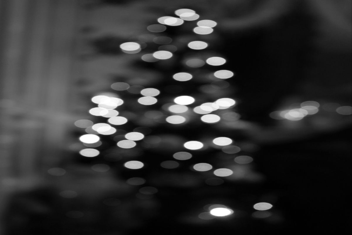 christmas prompt challenge bokeh tree