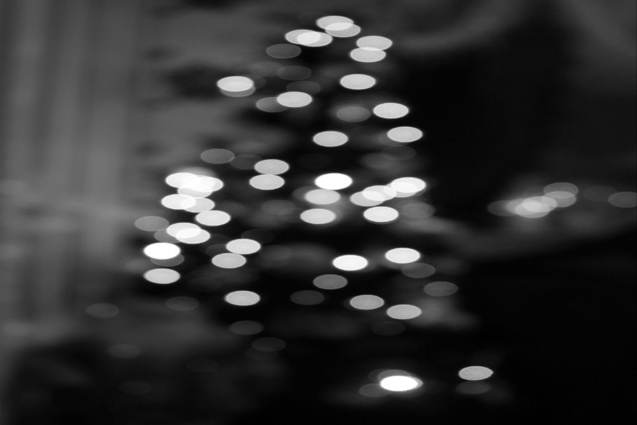 christmas prompt challenge bokeh tree