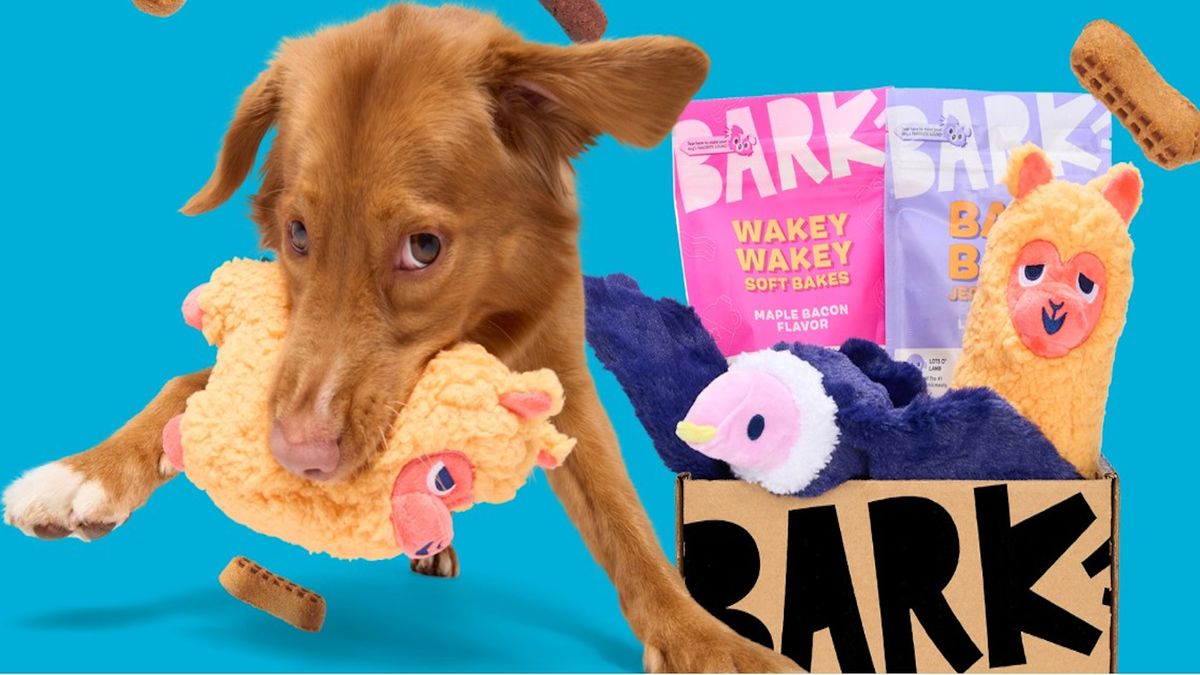 BarkBox coupons | 50% OFF for July 2026