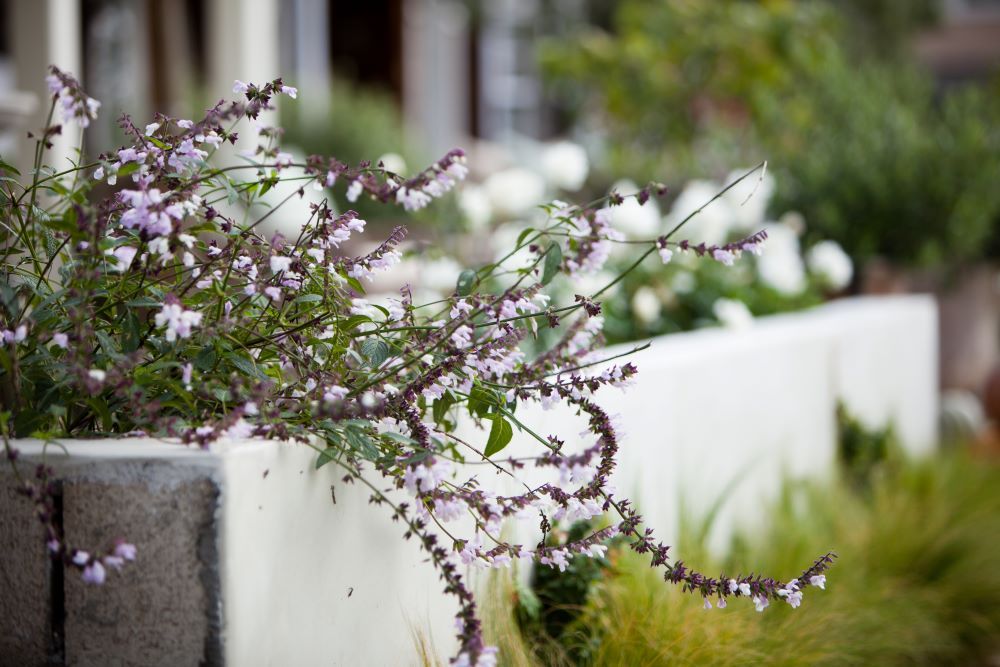 4 Landscape Edging Ideas Designers Swear by | Livingetc