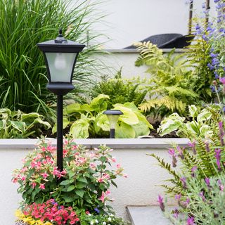 garden flower bed plants and lamp