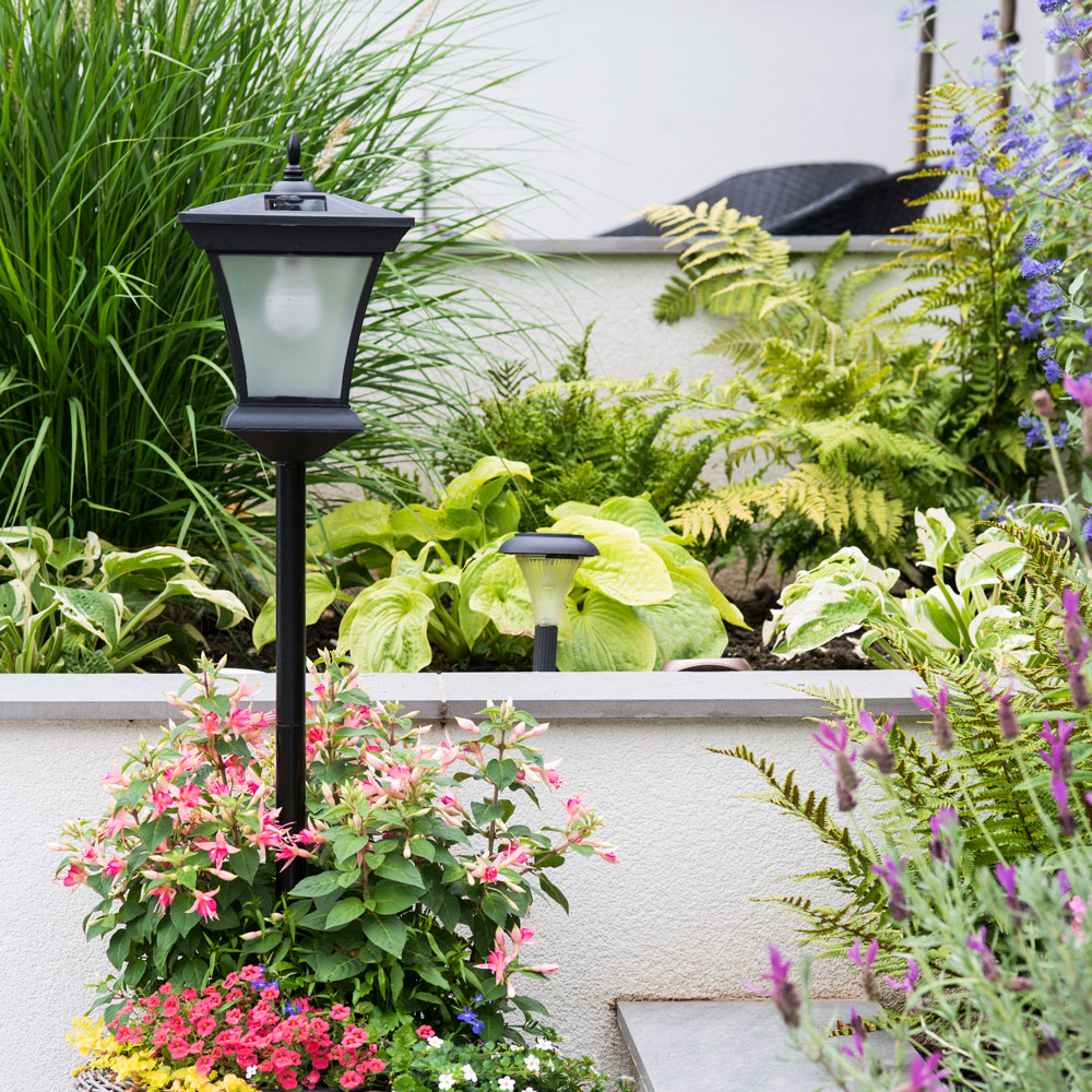 raised bedding borders with ferns