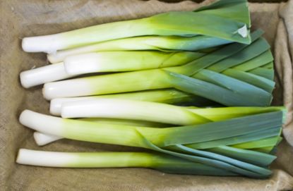 how to grow leeks