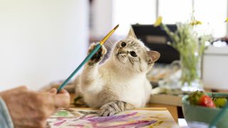 Cat with paintbrush