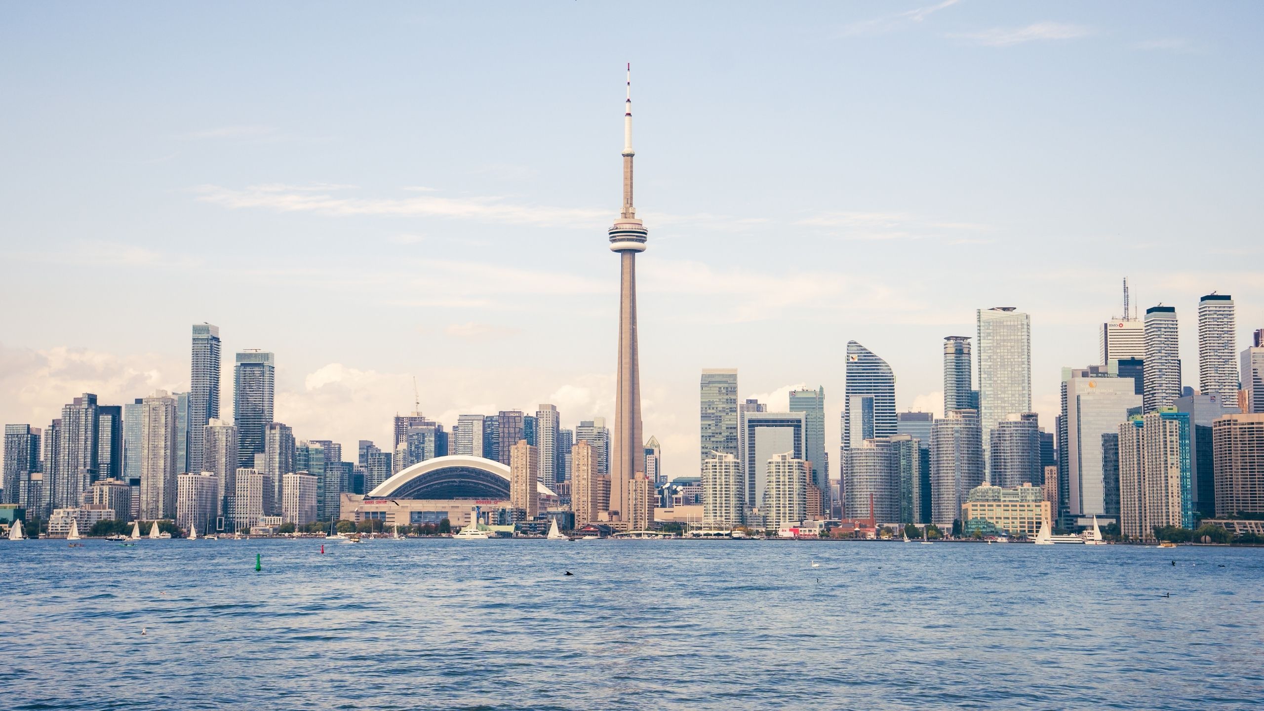 Around Toronto With a Local Designer