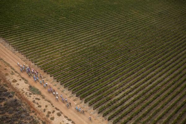 The lead bunch