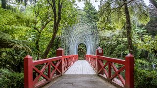 A bridge in New Zealand's Pukekura Park