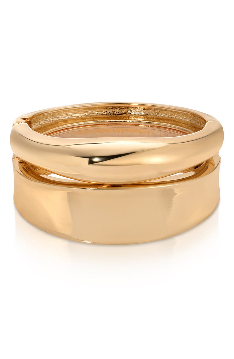 Set of 2 Bangle Bracelets