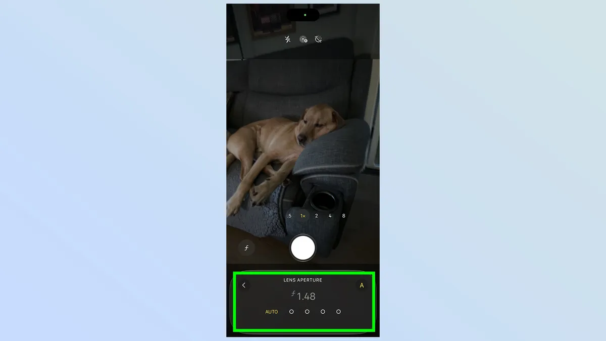 Post image 5