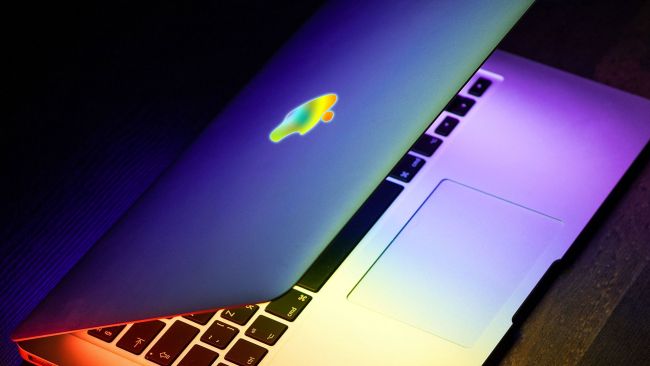 Apple logo on Macbook