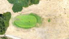 A green and fairway seen from above during the UK drought