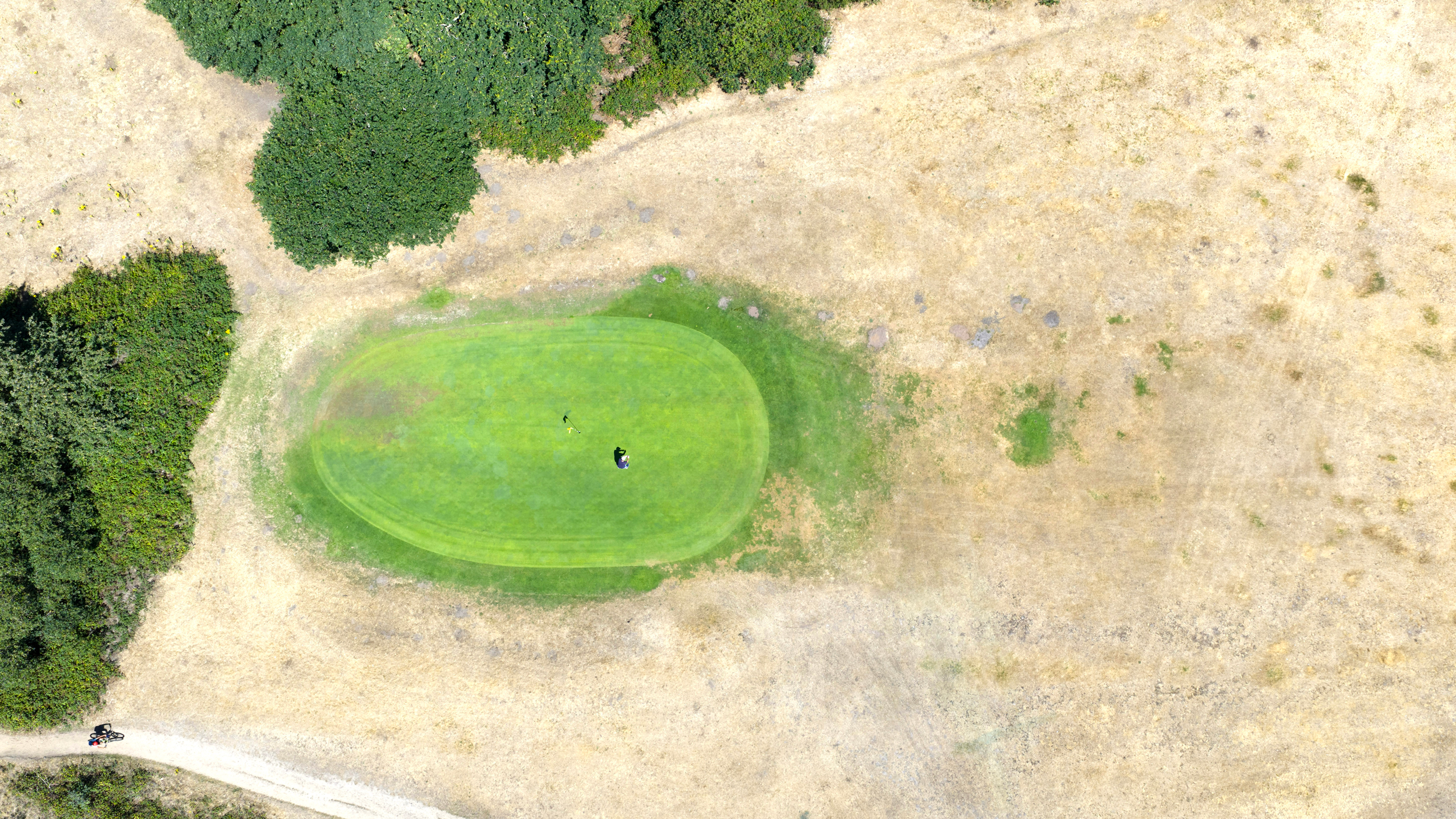 A green and fairway seen from above during the UK drought