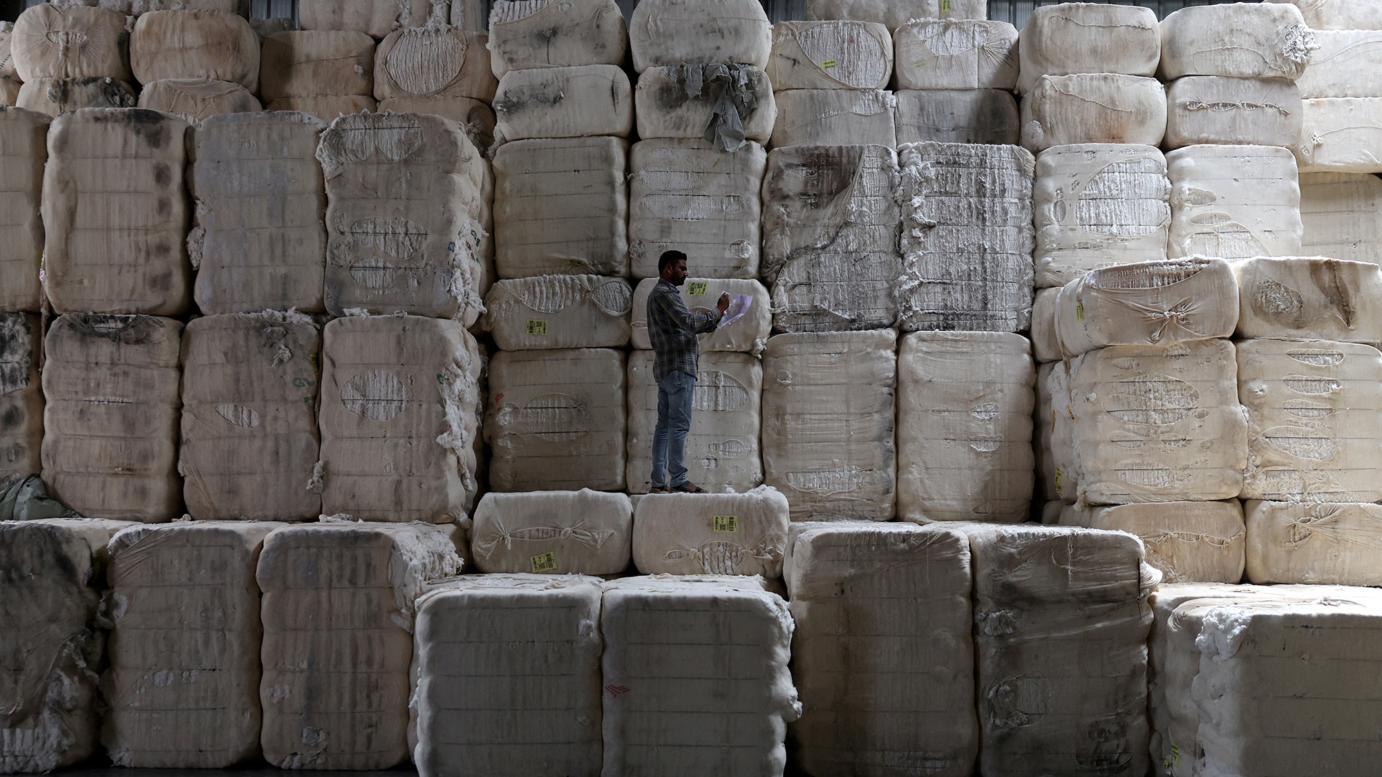 An employee checks quality of raw cotton at a yarn manufacturing factory in Rajkot, Gujarat, India