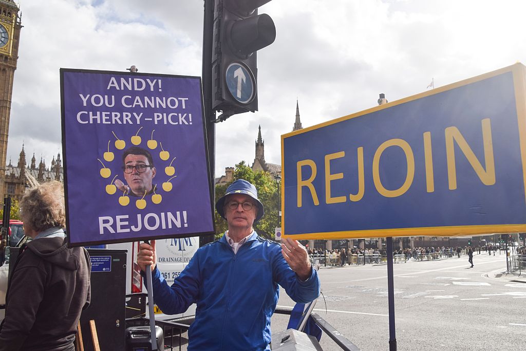Anti-Brexit protester holds placards urging UK Prime Minister Andy Burnham to rejoin the European Union