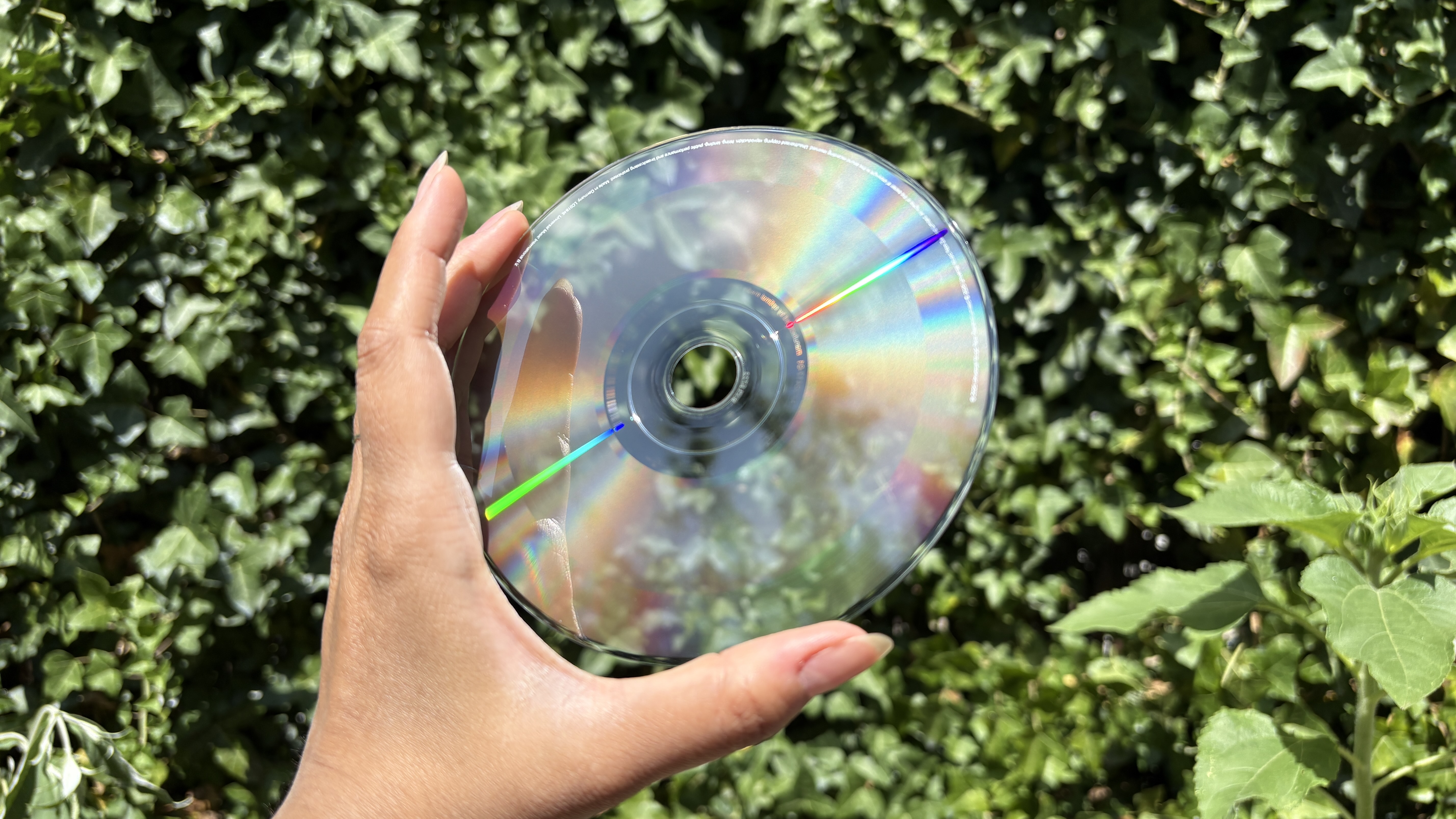 Lorde transparent CD held in hand