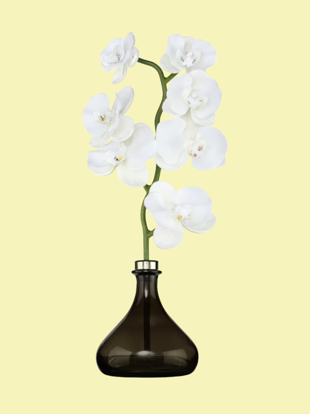 An orchid shaped diffuser from Senti