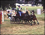 6ED2C741-C166-4A53-A888-F69E81B6BD43.jpg