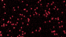 The image shows the white dots of Lithium atoms cooled to near absolute zero. The red smudges around them represent their wave packets.