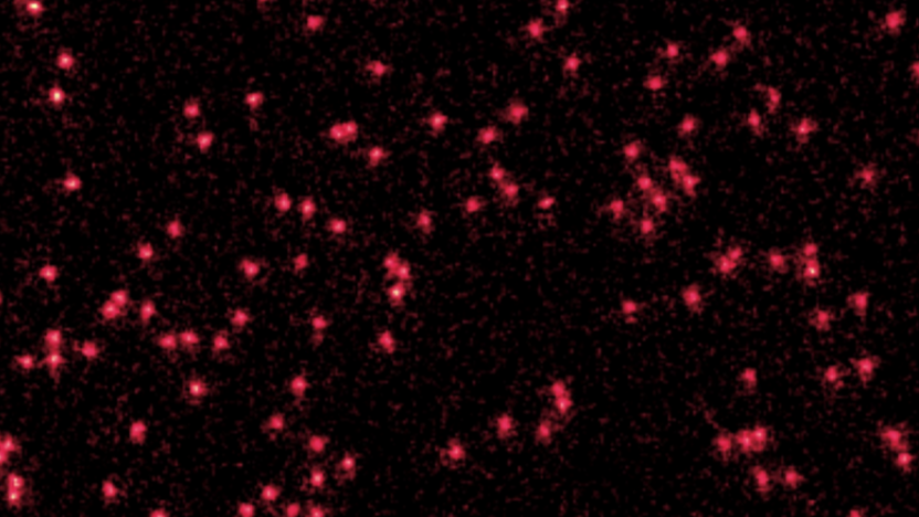 The image shows the white dots of Lithium atoms cooled to near absolute zero. The red smudges around them represent their wave packets.