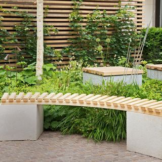 garden with wooden bench
