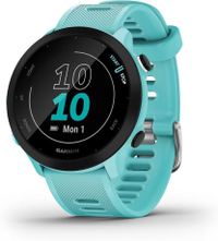 Garmin Forerunner 55 (Aqua)