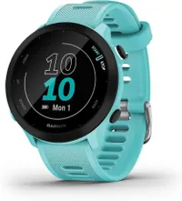 Garmin Forerunner 55 (Aqua)