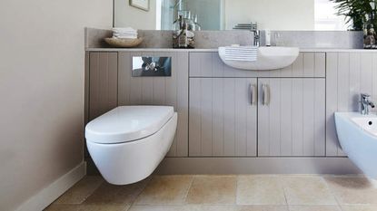 A modern bathroom with light grey cabinets, toilet and bidet