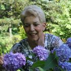 Lorraine Ballato and hydrangeas