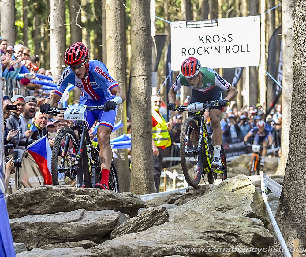 Kulhavy and Schurter