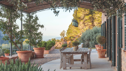 an outdoor patio with a large table, chairs, and large potted plants
