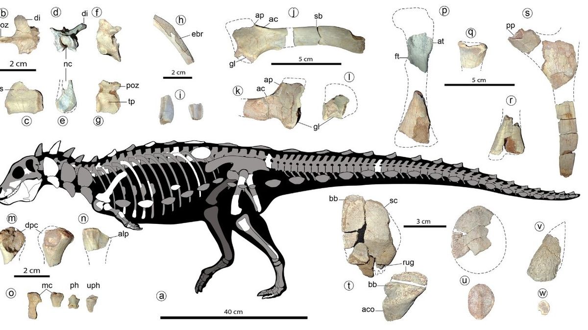 Pequeño dinosaurio espinoso descubierto en América del Sur revela un linaje desconocido