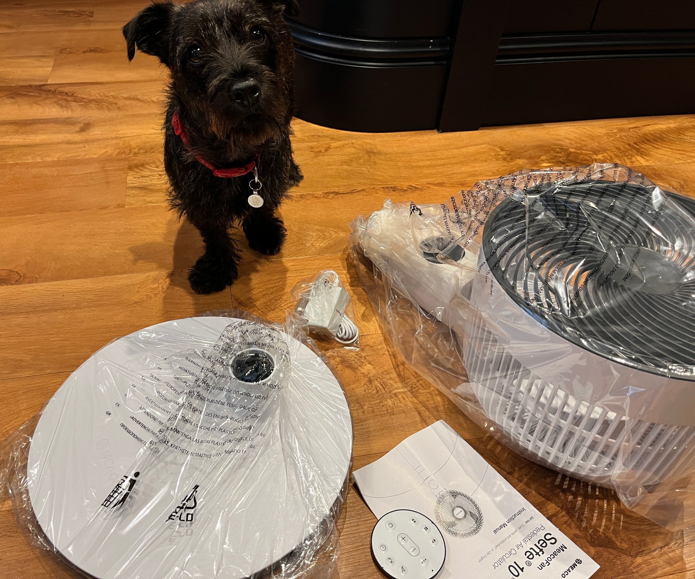 small black dog stood next to fan parts packaged in bags on floor