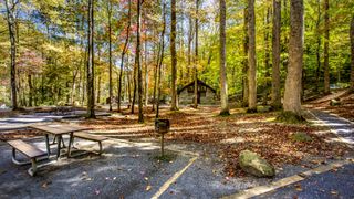 Chimney Tops picnic area in the Great Smoky Mountains National Park in Tennessee, USA.