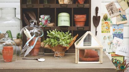 Terracotta plant pots and garden snips inside glass cloches on potting bench in front of shelving with garden string tin and gardening gloves