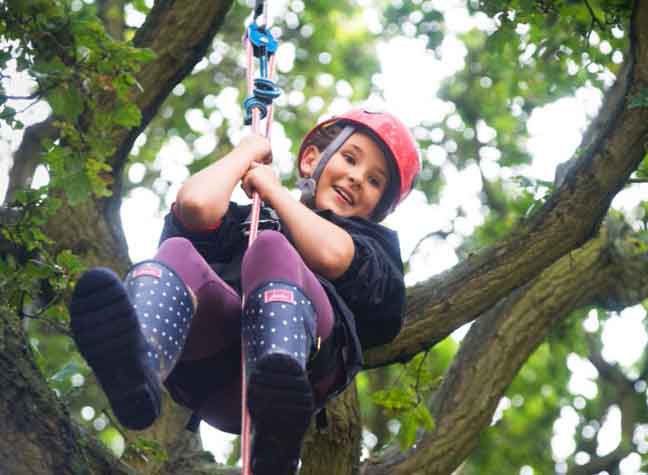 Days Out With The Kids: The National Forest Wood Fair