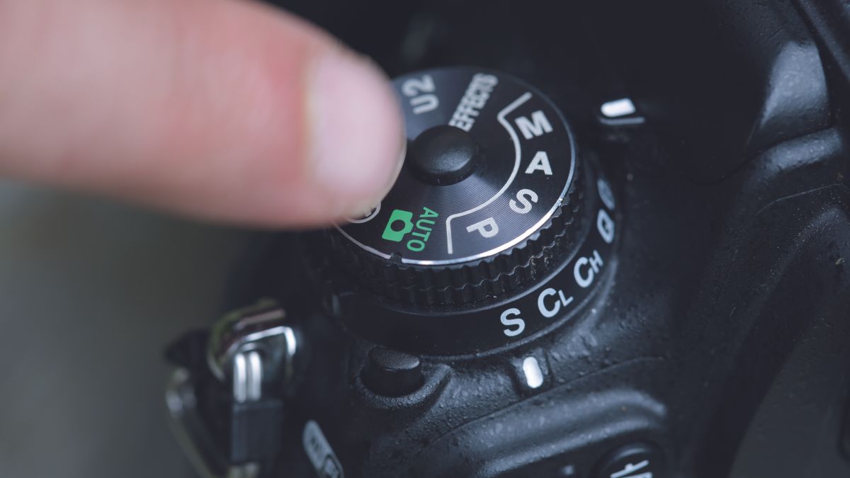 How to use flash for your photography Make a mobile macro studio
