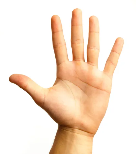 mhJ2yWNwMtNcmijZqVEDDW-1024-80.jpg.webp