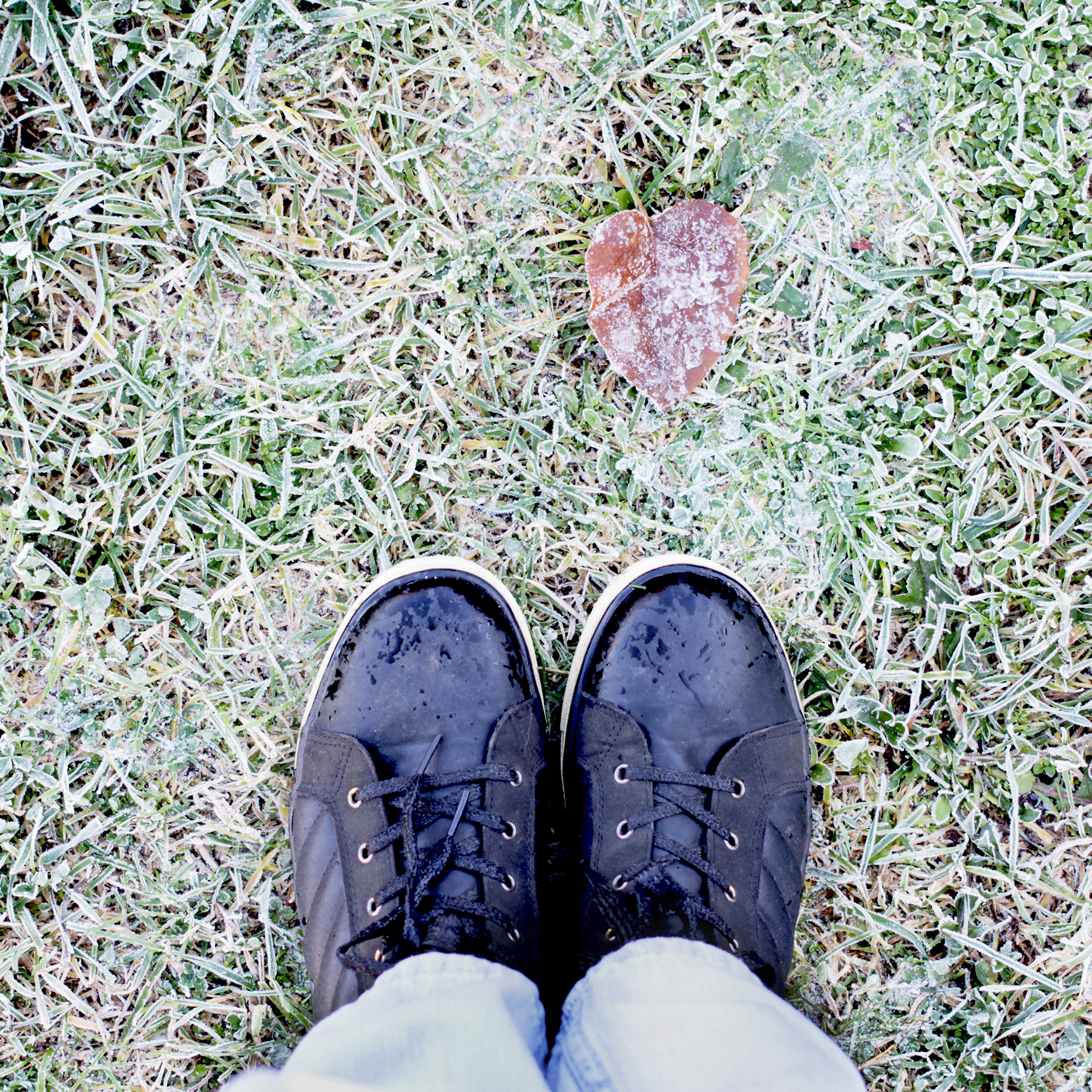 Feet in black boots and blue jeans on the grass covered with frost 